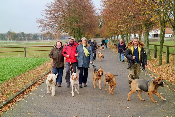 Wellness für Hund und Herrchen